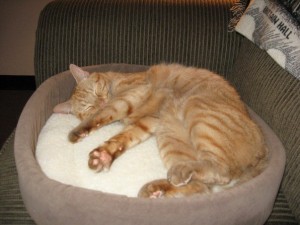 Duncan
