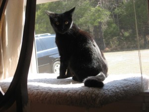 jet