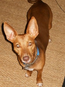 tucker